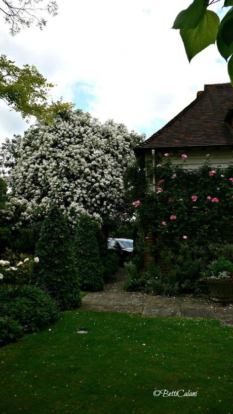 Old Place Farm, un elegante giardino inglese