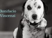 [Uscita giorno] Testimone cane altri racconti Bonifacio Vincenzi