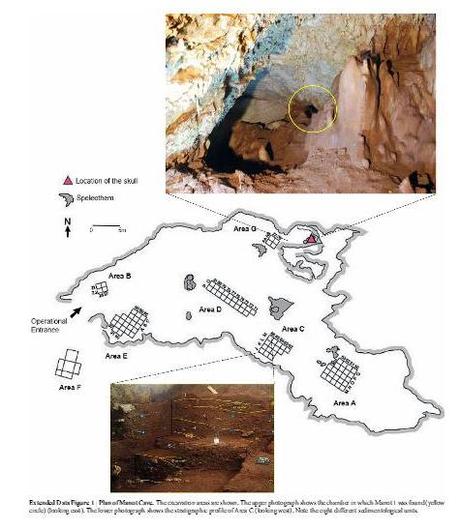 Nella Manot Cave la prova del contatto tra Homo Sapiens ed i Neanderthal