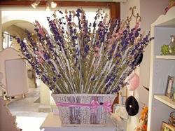 Armonia composizioni fiori secchi fai da te