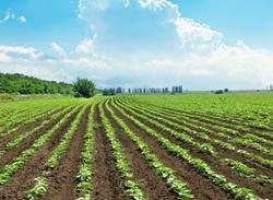 azienda da agricoltura biologica