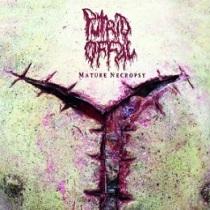 Putrid Offal – Mature Necropsy