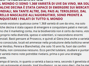 Teroldego, storia futuro