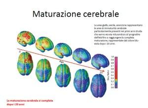 maturazione cerebrale