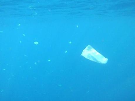 Safaga, immersioni nel Mar Rosso tra le dune d’Egitto