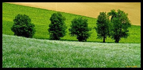 il mio omaggio a Franco Fontana