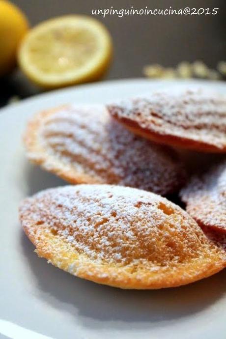 Madeleine al cioccolato bianco e limone