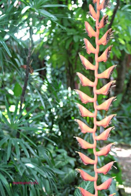 La casa di Jim Thompson a Bangkok: fascino, bellezza e mistero