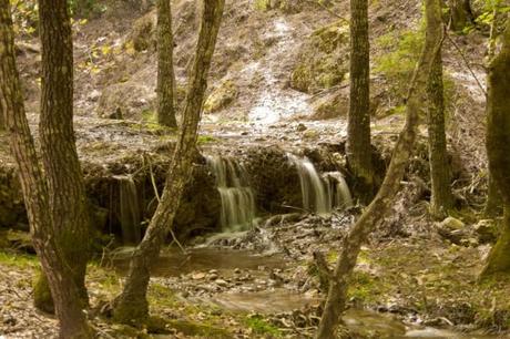 Rodi: un viaggio dedicato ai vostri figli
