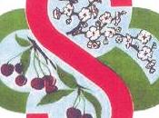 concorso internazionale poesia “citta’ vignola” 2015