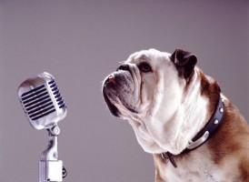 cane che canta