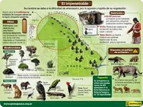 Impenetrable-Infografia