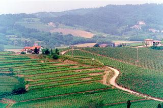 Collio