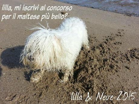 Neve e il concorso di bellezza