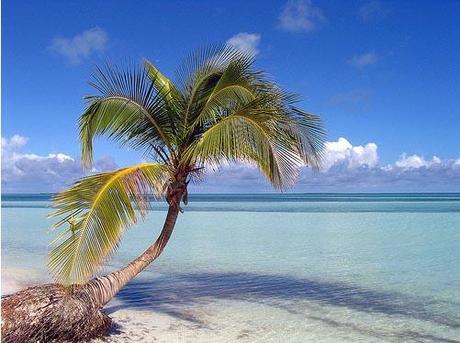 cayo coco cuba