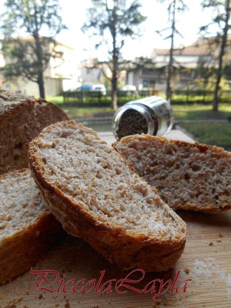 Pane integrale al cumino (18)b