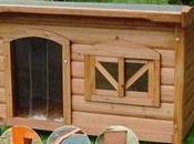 Come costruire cuccia cani