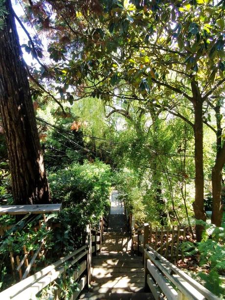 Filbert Steps, la scala più bella di San Francisco