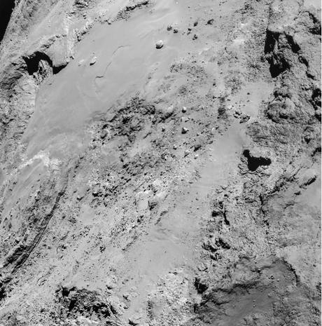 Rosetta: prime immagini del Flyby