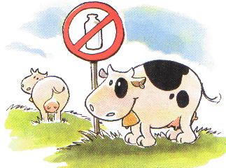 Intolleranza al Lattosio, come comportarsi