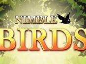 NIMBLE BIRDS giochi frustranti Android