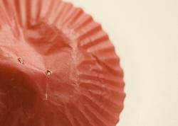 Buchi per i fiori di carta