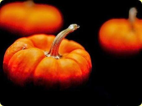 Strudel di Zucca