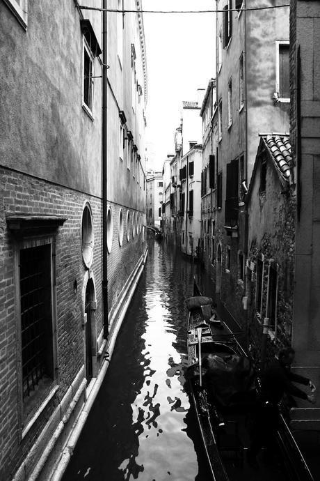 II Conte di Venezia.