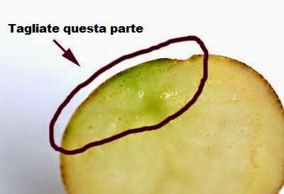 Attenzione alle Patate che si colorano di Verde