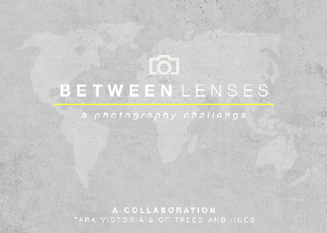 Between lenses // Nostalgia