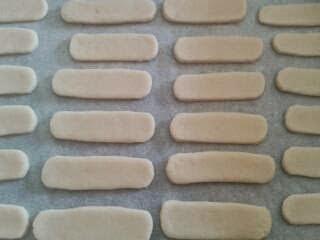 BISCOTTI PER L' INFANZIA  (simil plasmon)