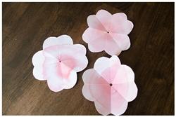 Petali del fiore di carta