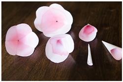 Petali di carta da assemblare