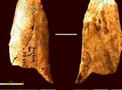 L'ingegno Neanderthal