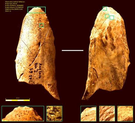 L'ingegno dei Neanderthal