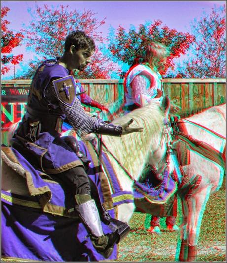 2015 Florida RenFest (Knight and horse)  foto e video di Mike Bittner