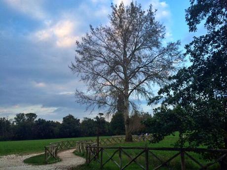 Marche da scoprire: perché visitare Abbadia di Fiastra