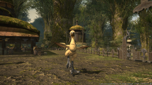 Final Fantasy XIV: A Realm Reborn, tante immagini sulla patch 2.51