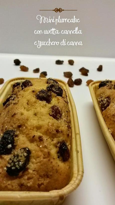 MINI PLUMCAKE CON UVETTA, CANNELLA E ZUCCHERO DI CANNA