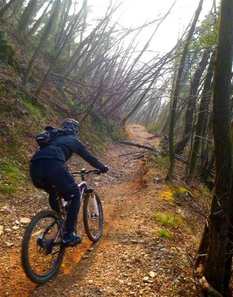 Mountain Bike on the Eastern side (20/2, 2015)