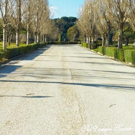 Parco della Biodiversità  - Meraviglie dietro l'angolo