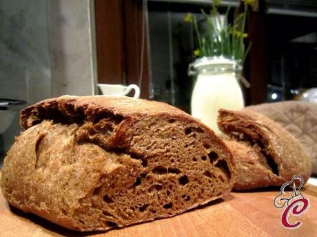 Filone di grano arso e saragolla: il piacere della conoscenza e la grandezza della condivisione