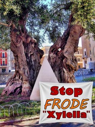 Lecce, domenica 22 febbraio sit it Salvare Ulivi Salento e Salentini