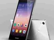 Huawei Ascend trucchi consigli manuale italiano