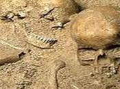 Bio-Archeologia