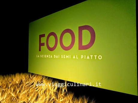 Milano, Mostra Food: La scienza dai semi al piatto