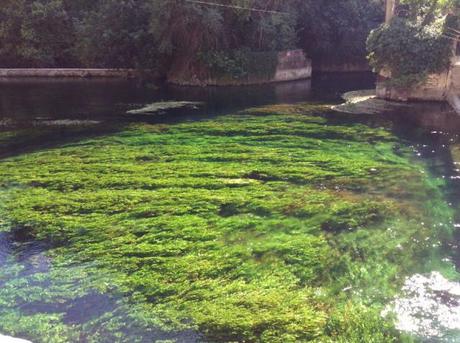 Otto posti da vedere in Provenza