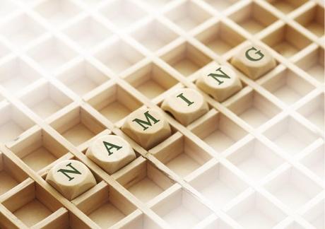 [Guida] Rinominare migliaia di foto velocemente con [Photo Naming Assistant Pro]