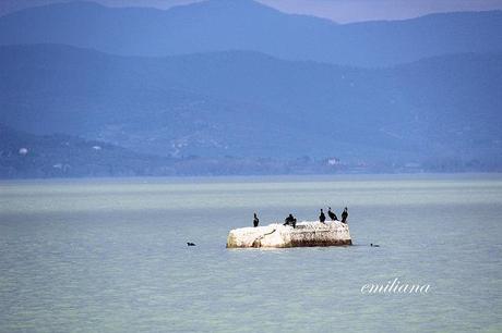 Castiglione del Lago