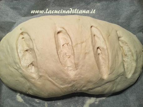 Pane con Kamut a lievitazione Naturale